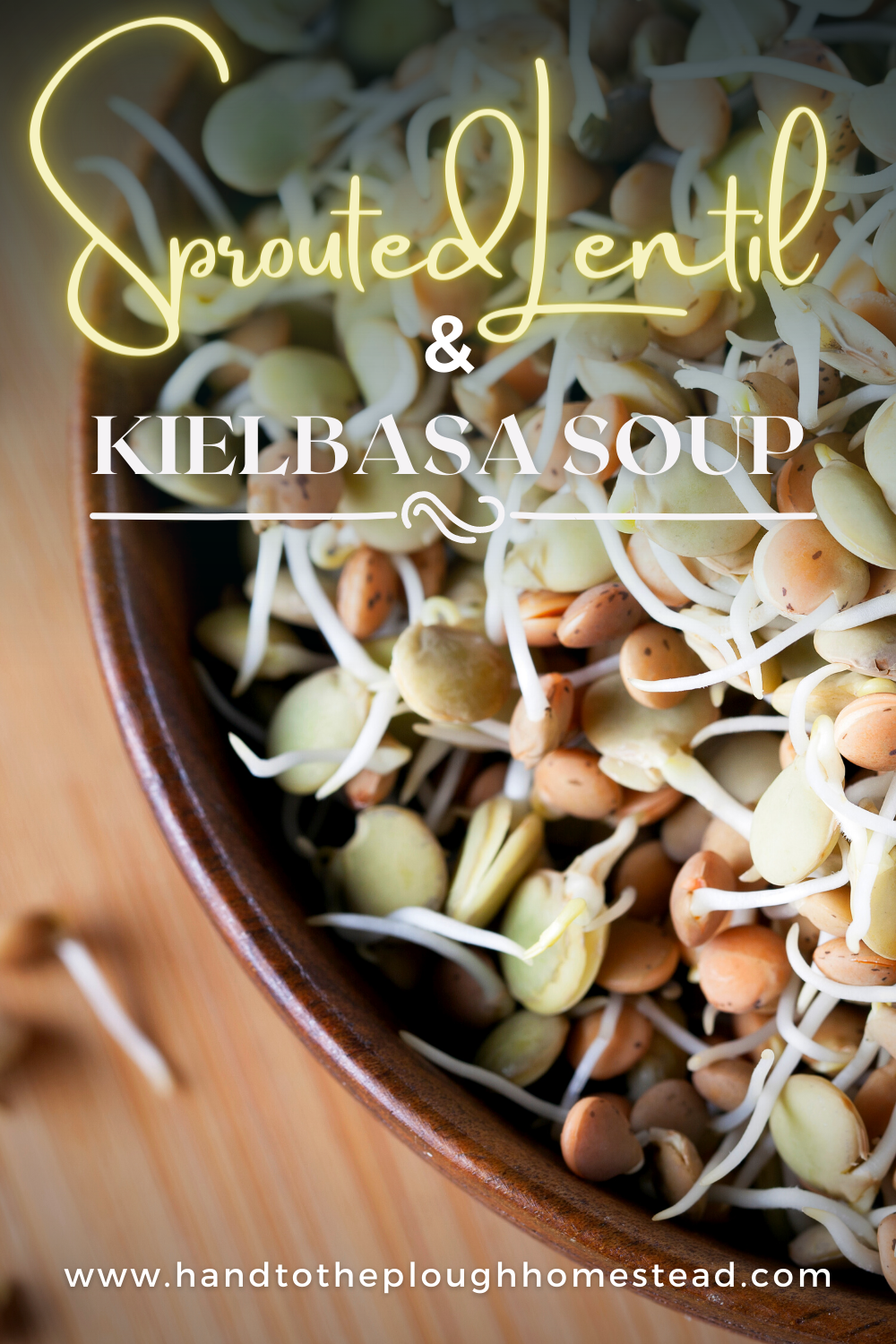 Sprouted Lentil & Kielbasa&nbsp;Soup